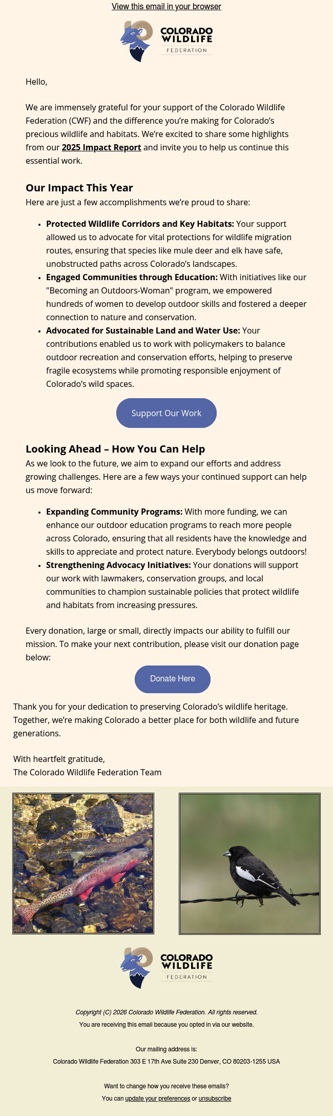 Your Impact on Colorado’s Wildlife – Thank You for Your Support!