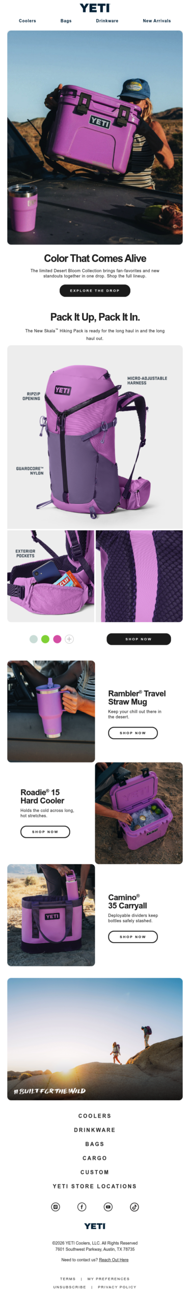 Meet Desert Bloom — A Burst Of Life Across Arid Lands