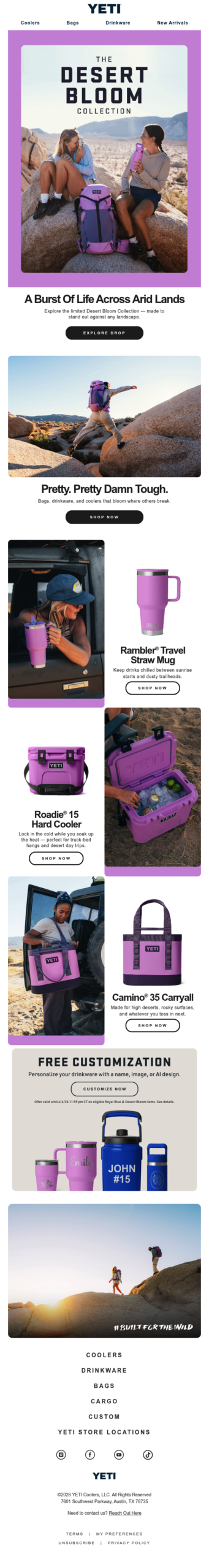 Meet The Desert Bloom Collection