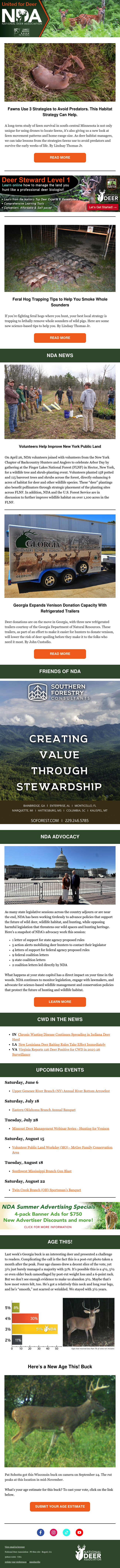 Fawns Use 3 Strategies to Avoid Predators. This Habitat Strategy Can Help.