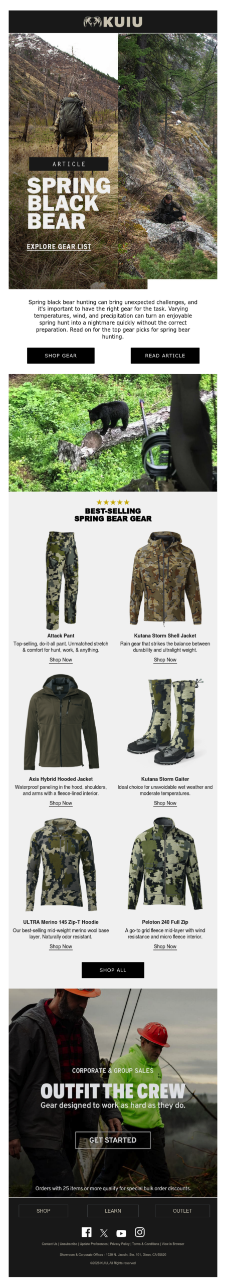 Article: Spring Black Bear – What You Need to Know