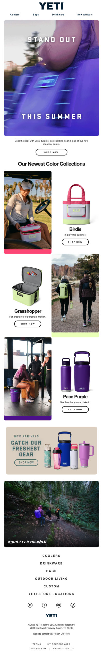 Check Out Our Latest Color Collections