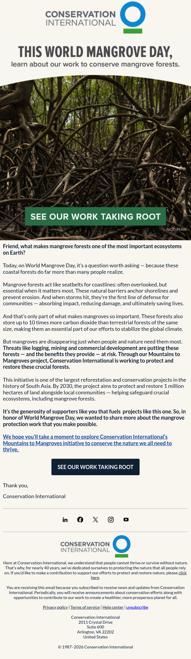 Mangroves are a big deal