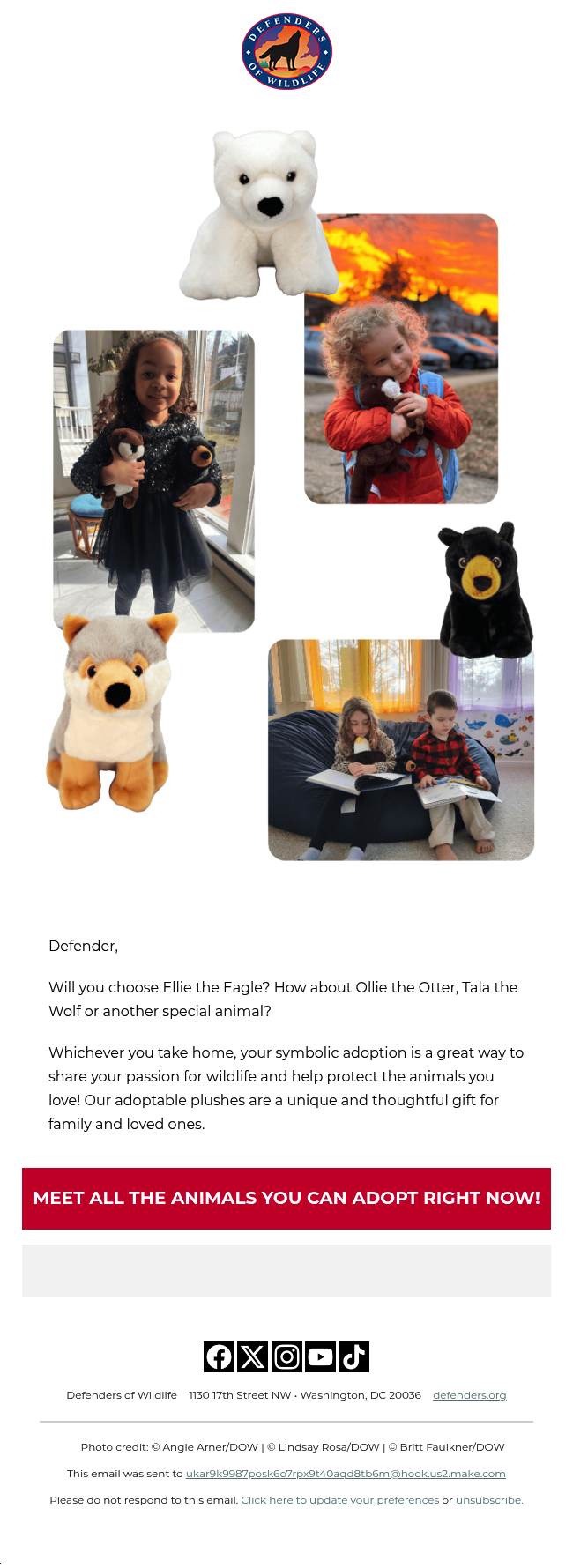 Who will you take home?