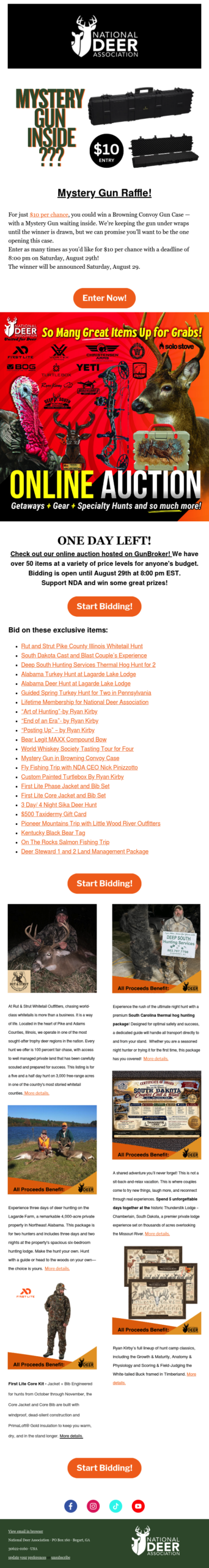 $10 Mystery Gun + Final Hours to Bid!