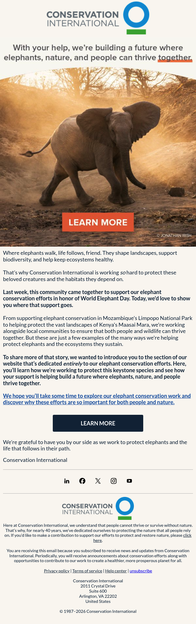 Curious about how we’re protecting elephants?