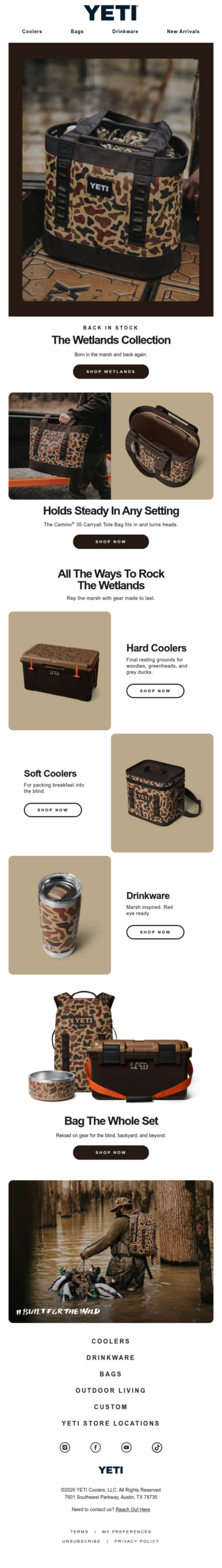 The Wetlands Collection Returns