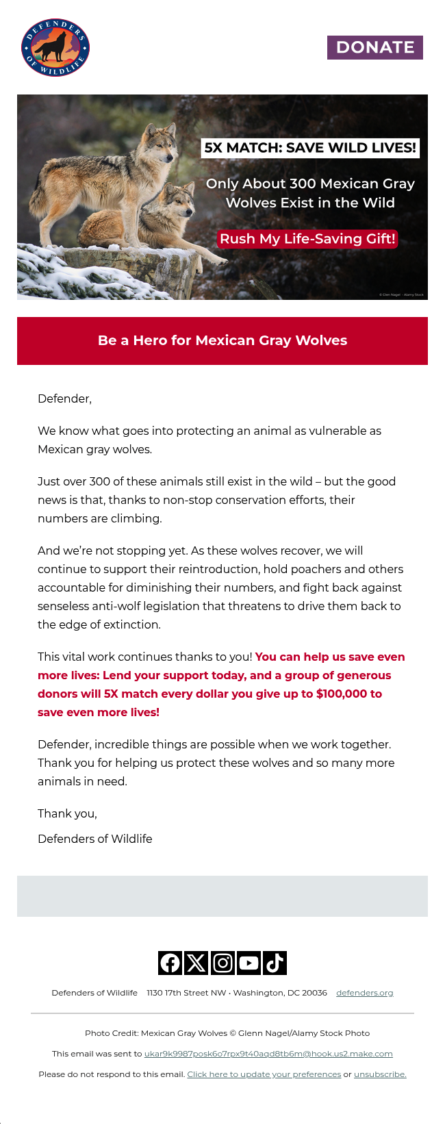 We know how to save wolves